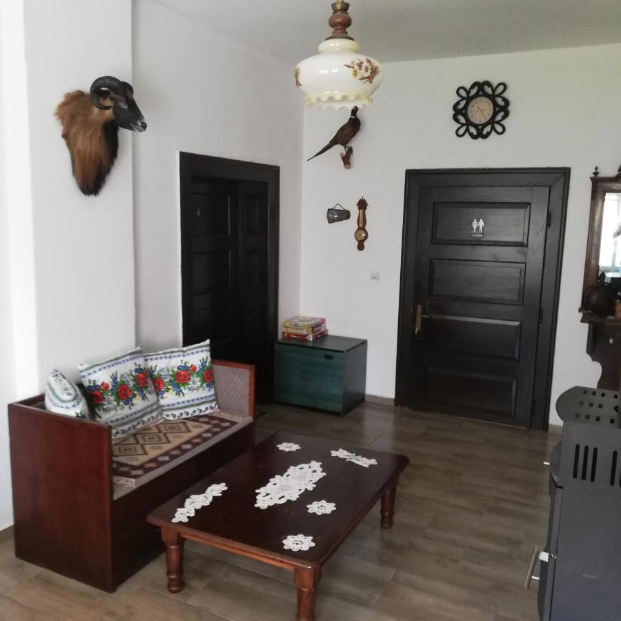 Casa Din Barcut Guest House Luaran gambar