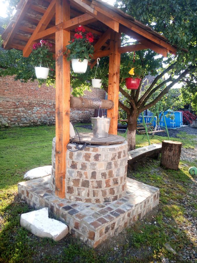 Casa Din Barcut Guest House Luaran gambar