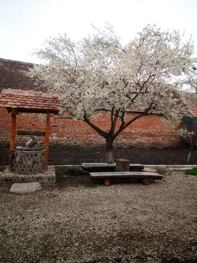 Casa Din Barcut Guest House Luaran gambar